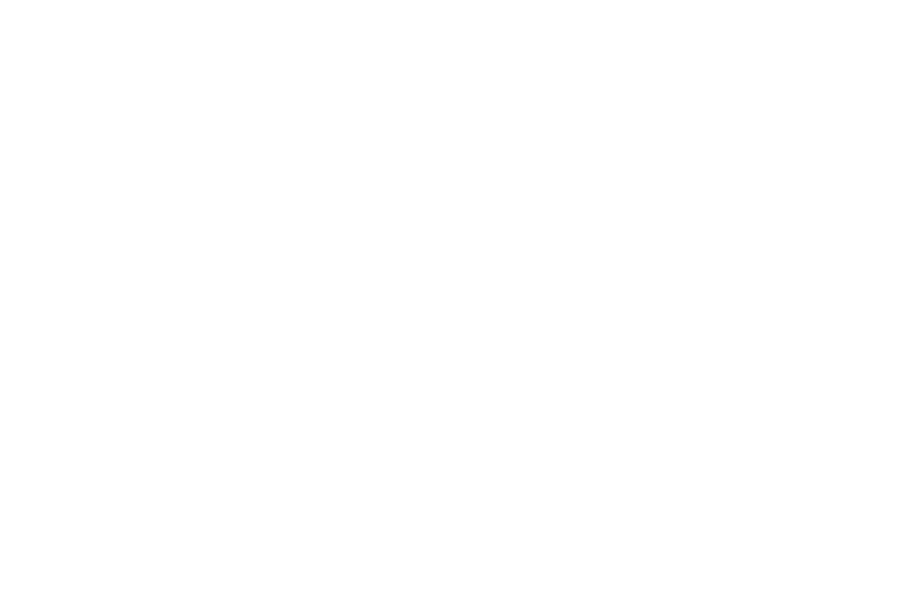 Servicio-13